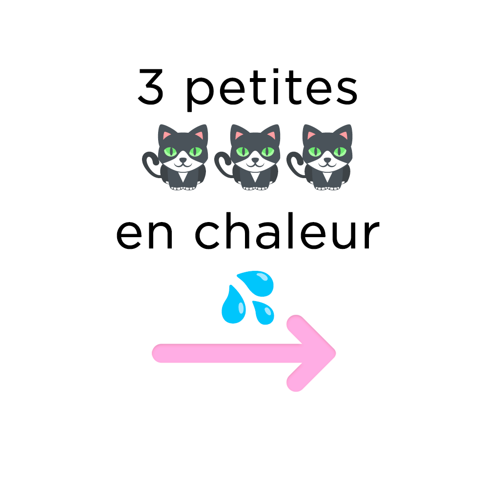 Cleagaultier's media