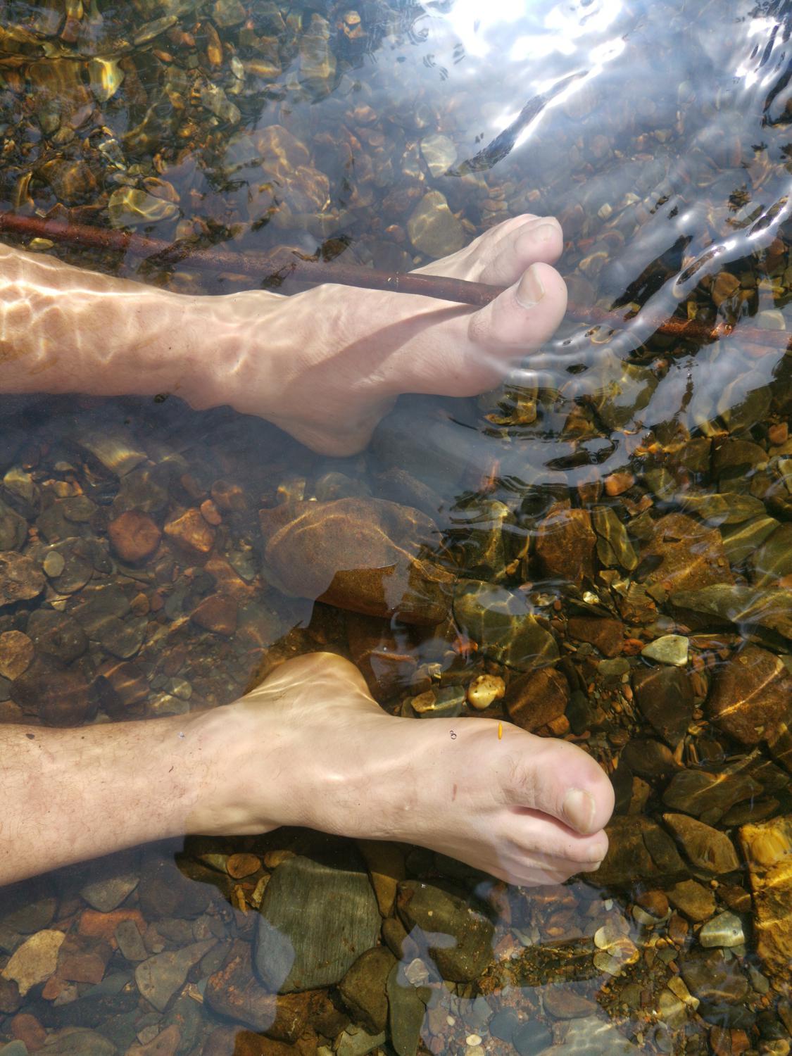 Cockyfeet's media