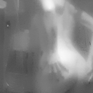 Coquine_et_excessive's media