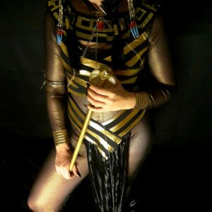 Cosplaydyanne's media