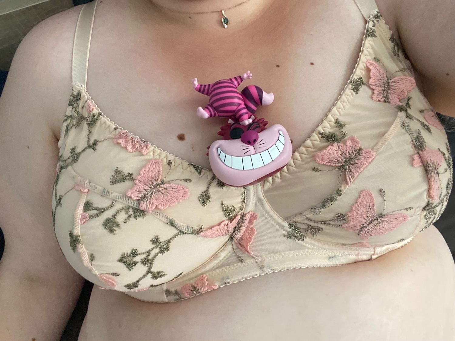 Cplgeekcoquin's media