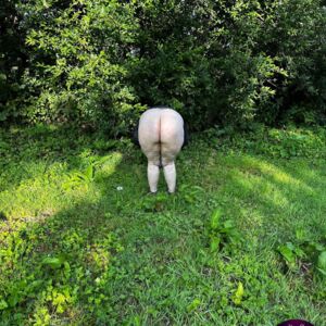 Cplgeekcoquin's media