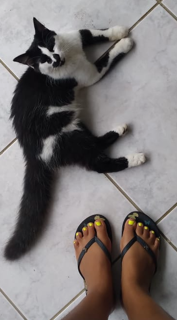 Crazyfeet-girl's media