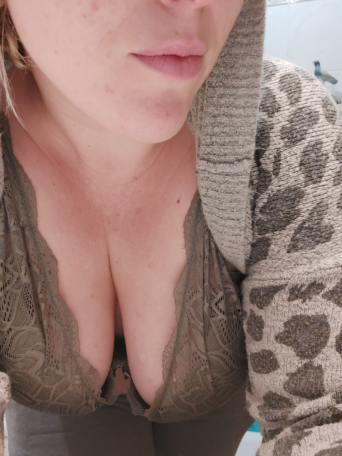 Curvyandgeek's media