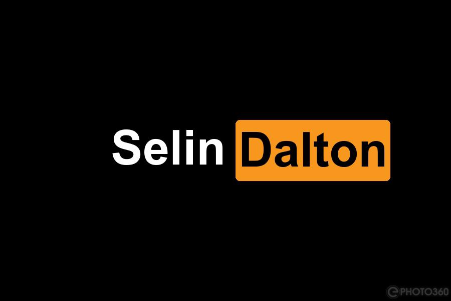 Dalton_selin's media