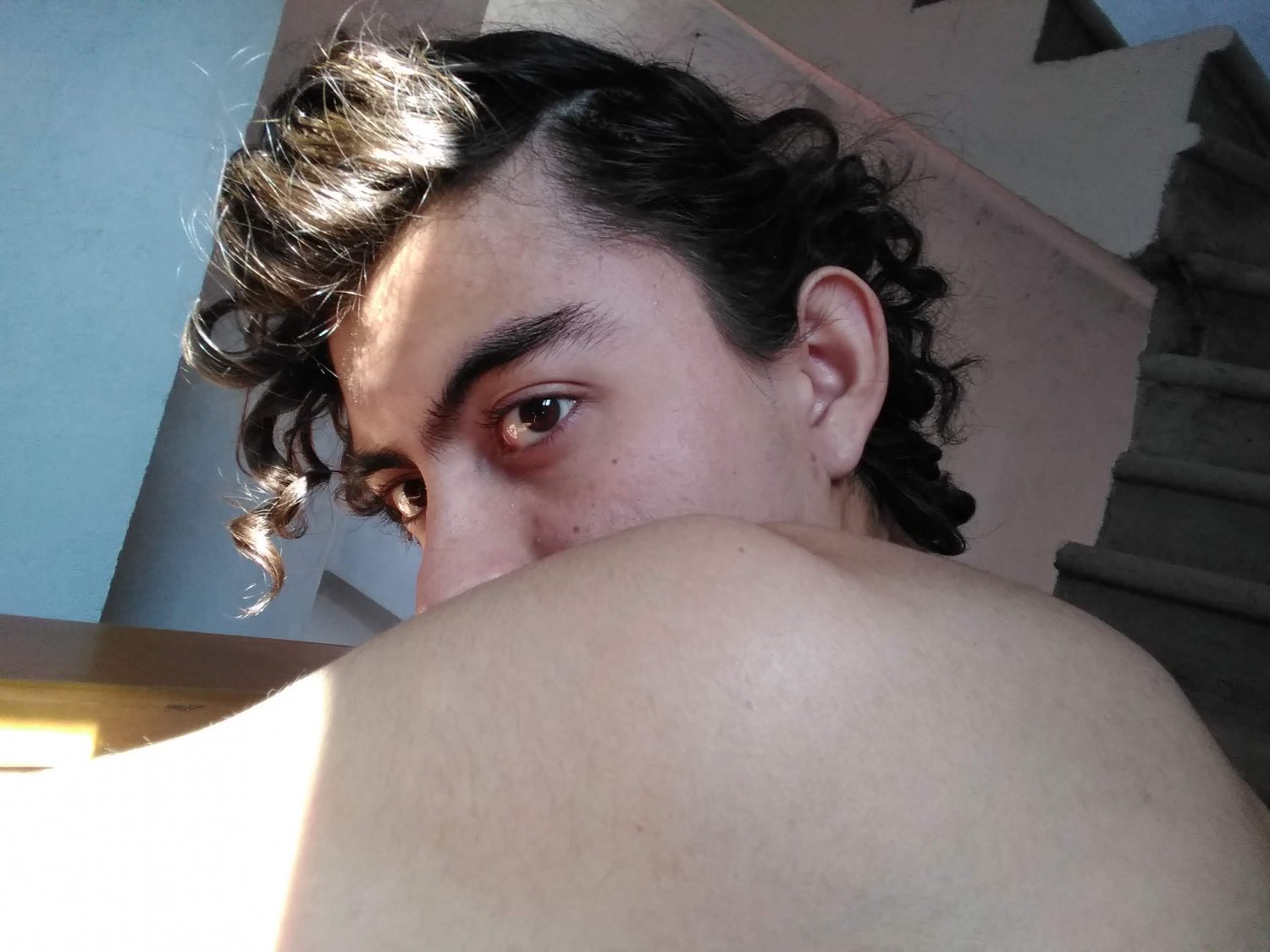 Danielsalvador's media