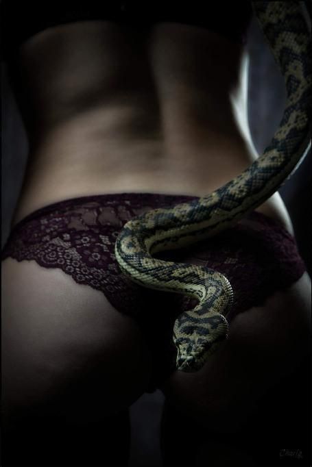 _darkover_'s media