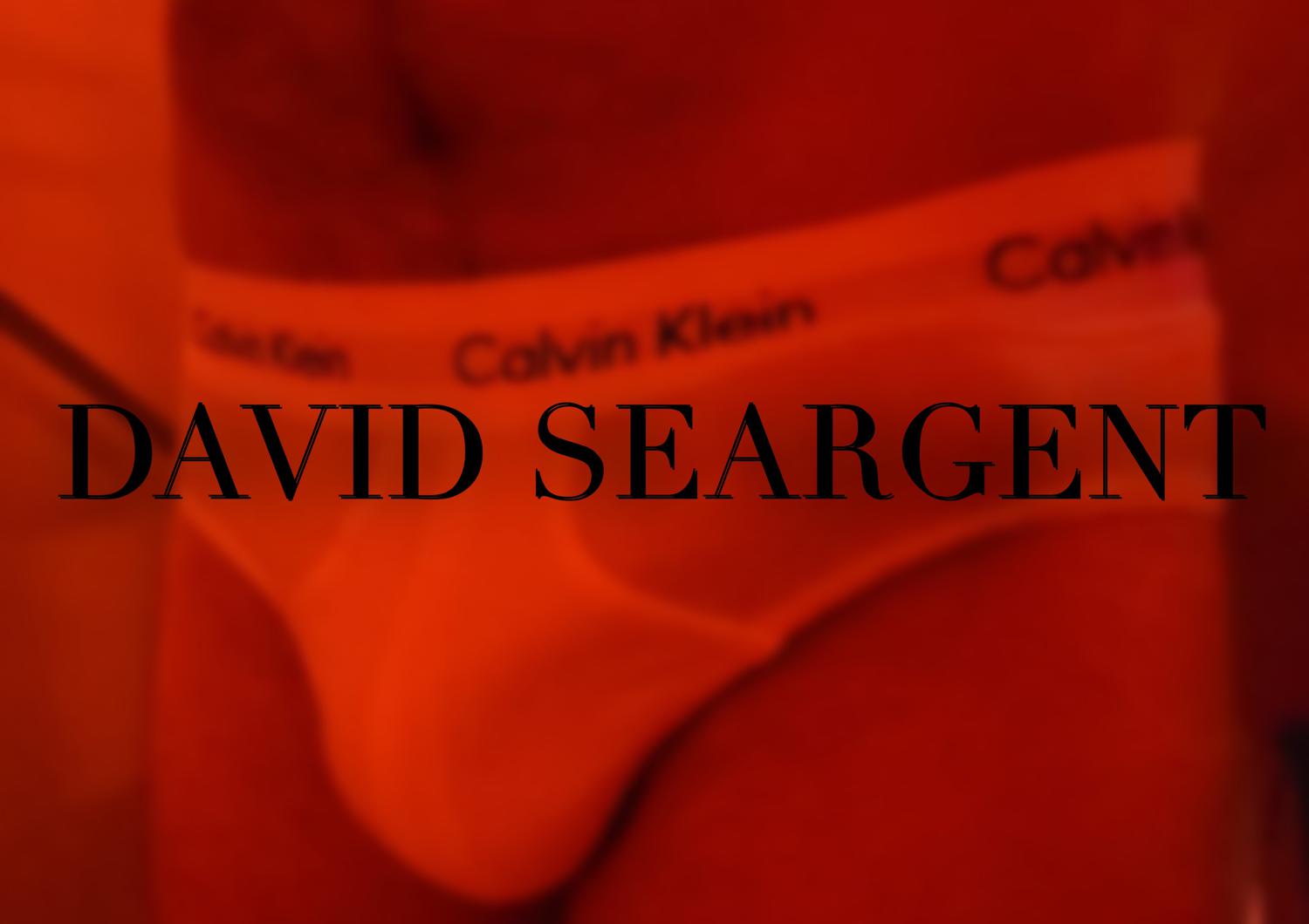 Davidseargent's media