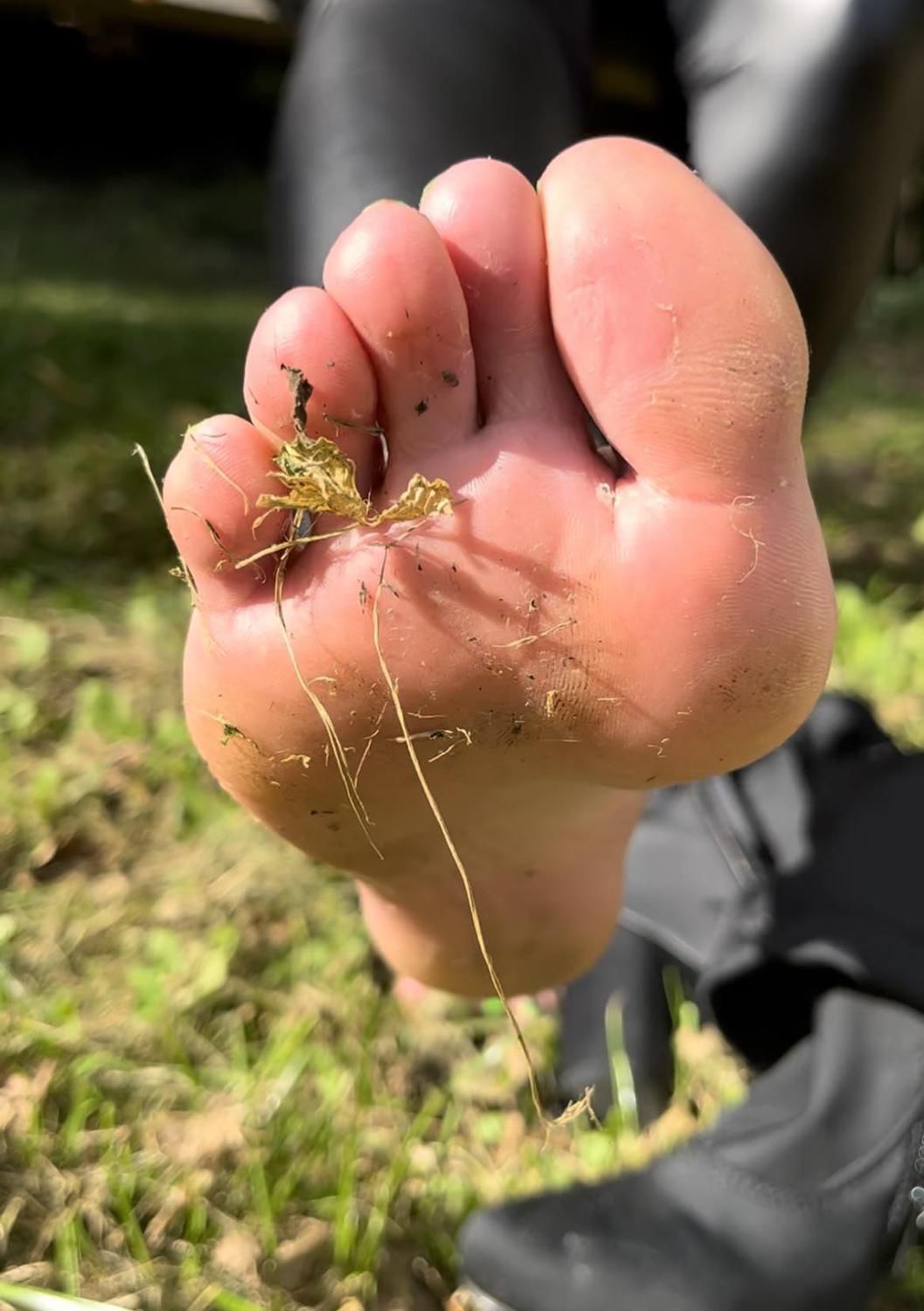 Deessenastya's media