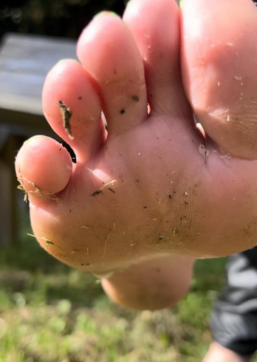 Deessenastya's media