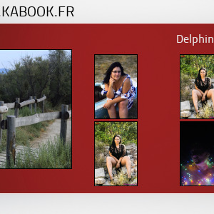 Delphinemodele's media