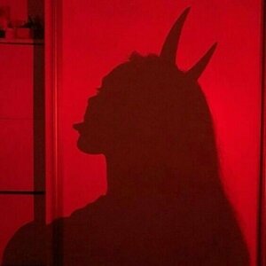 Devilishe's media