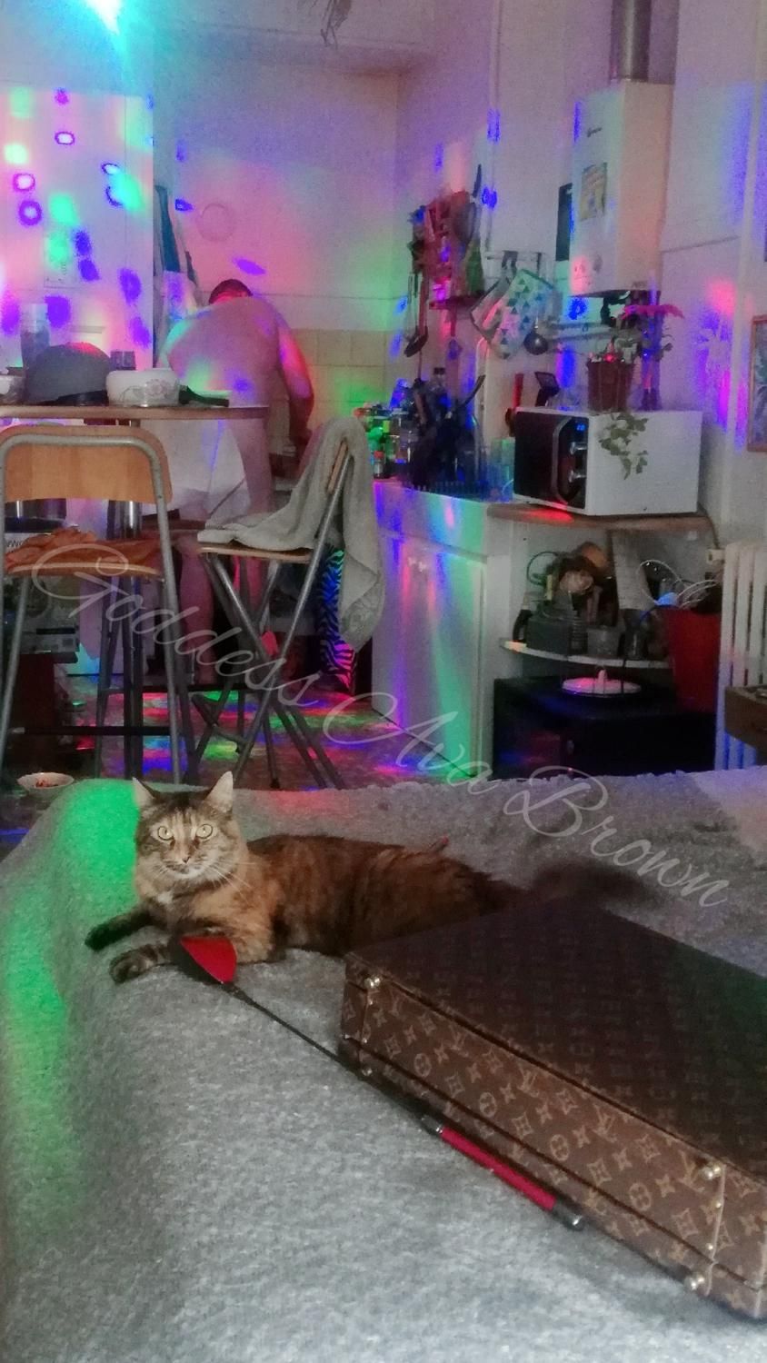 Divinedeesseavabrown's media