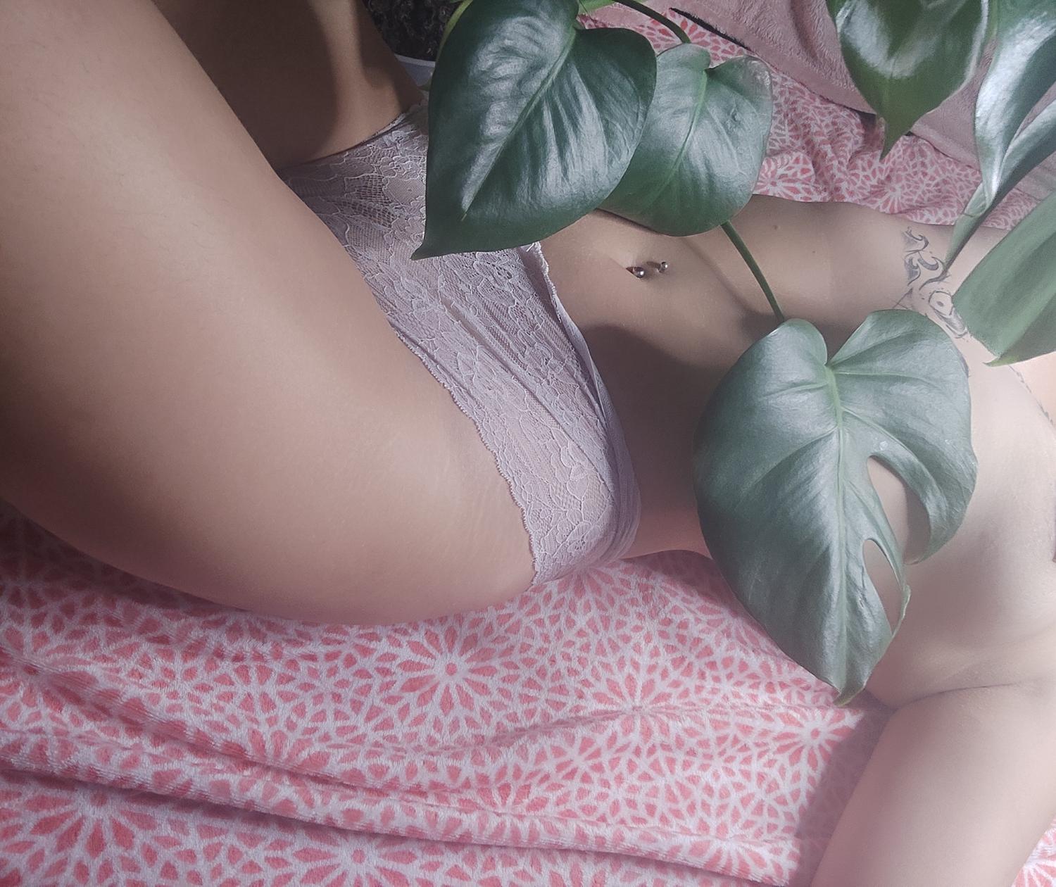 Dom_artistique's media