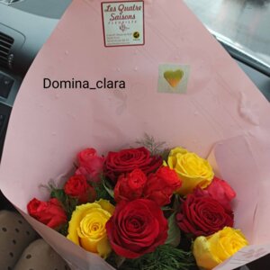Domina_clara's media