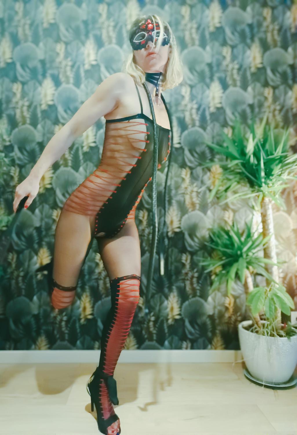 Dominavanessa's media