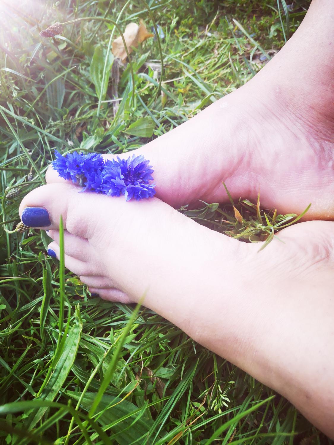 Doux-petits-pieds's media