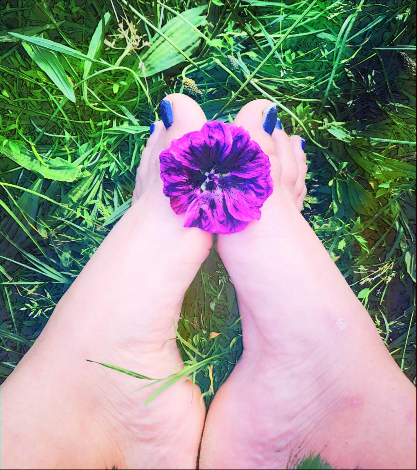 Doux-petits-pieds's media