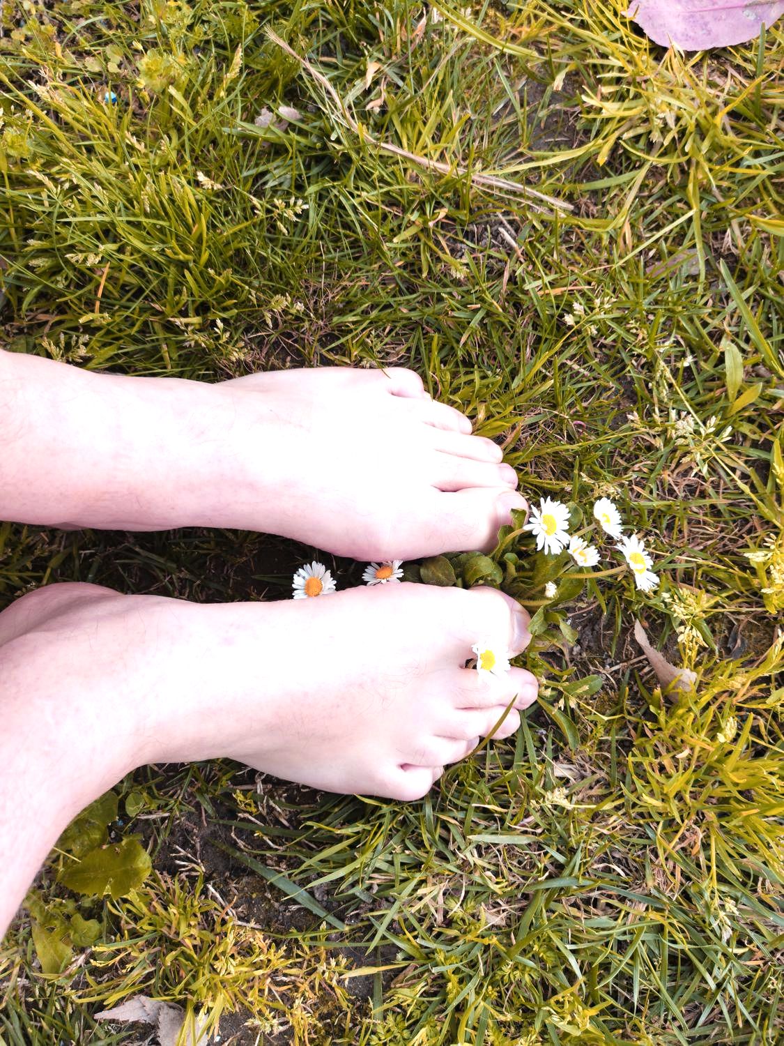 Easyfoot's media