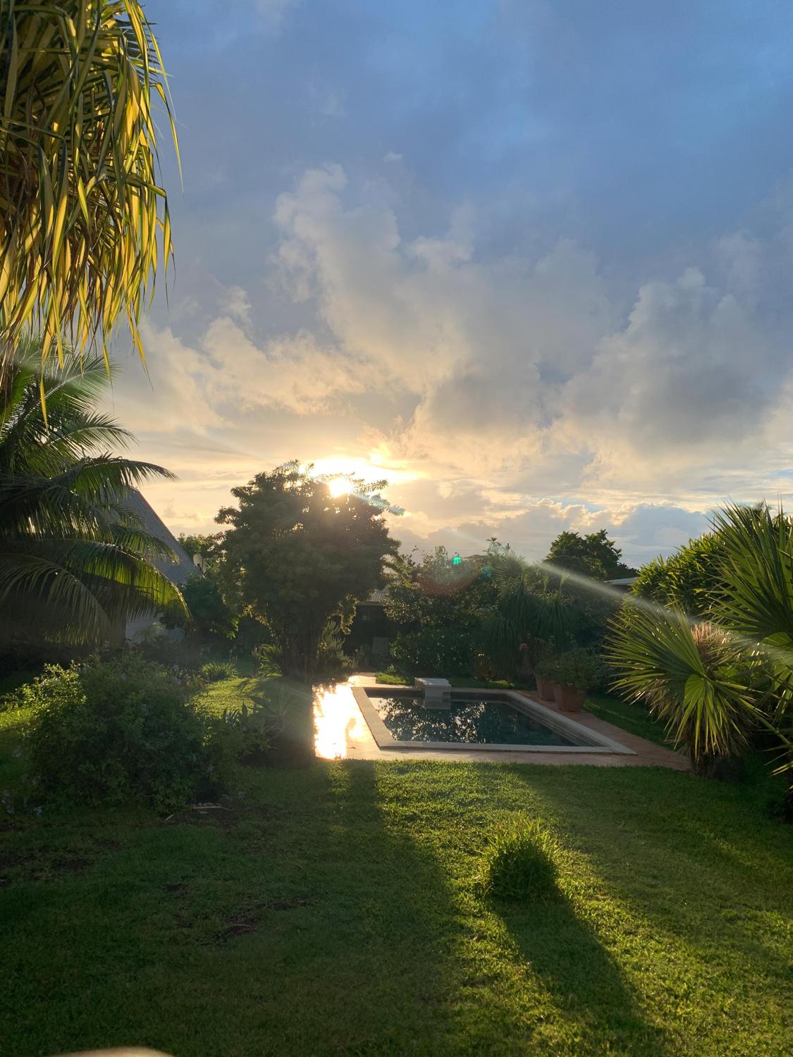 Edentahiti's media