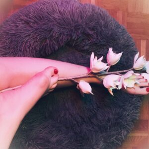 Edwix's media