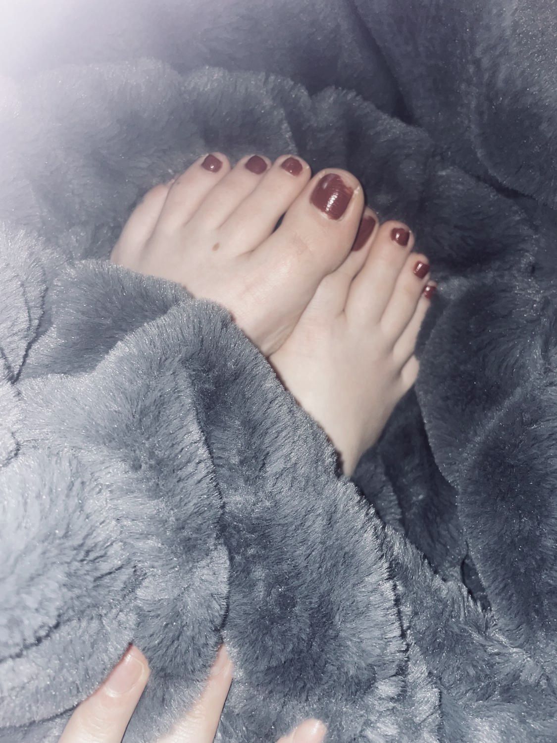Elisexyfeet's media