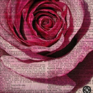 Elle-rosalia's media