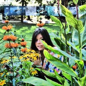 __eve__'s media