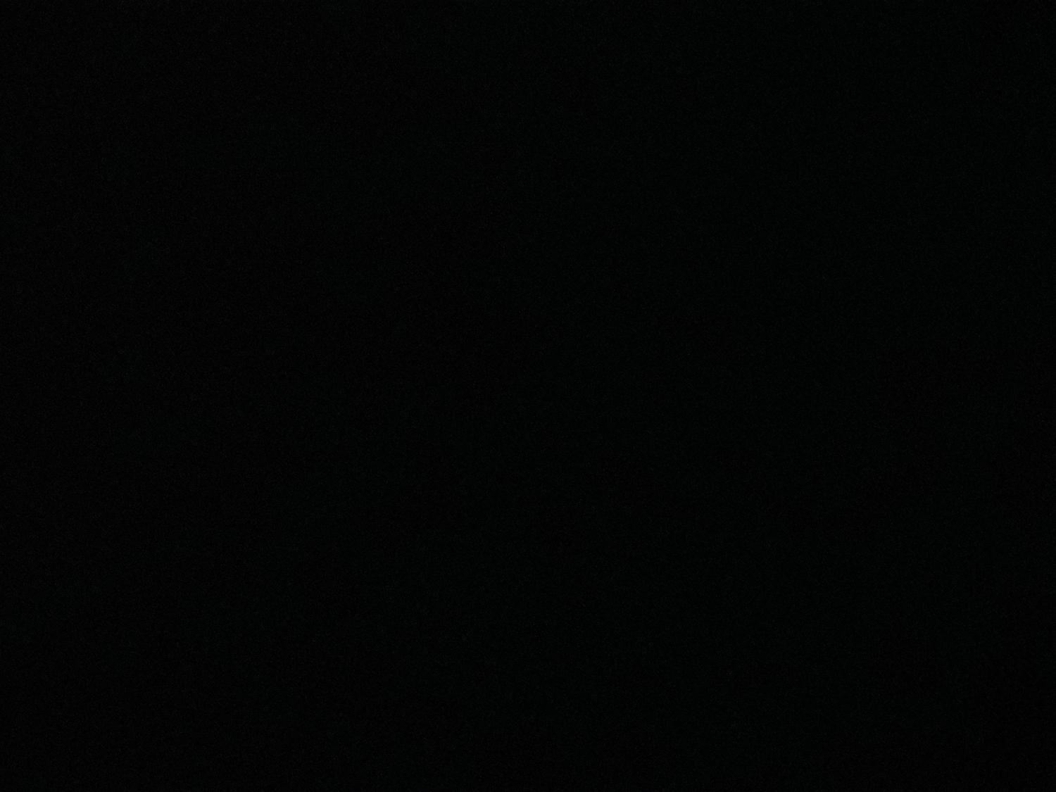 Exaa's media