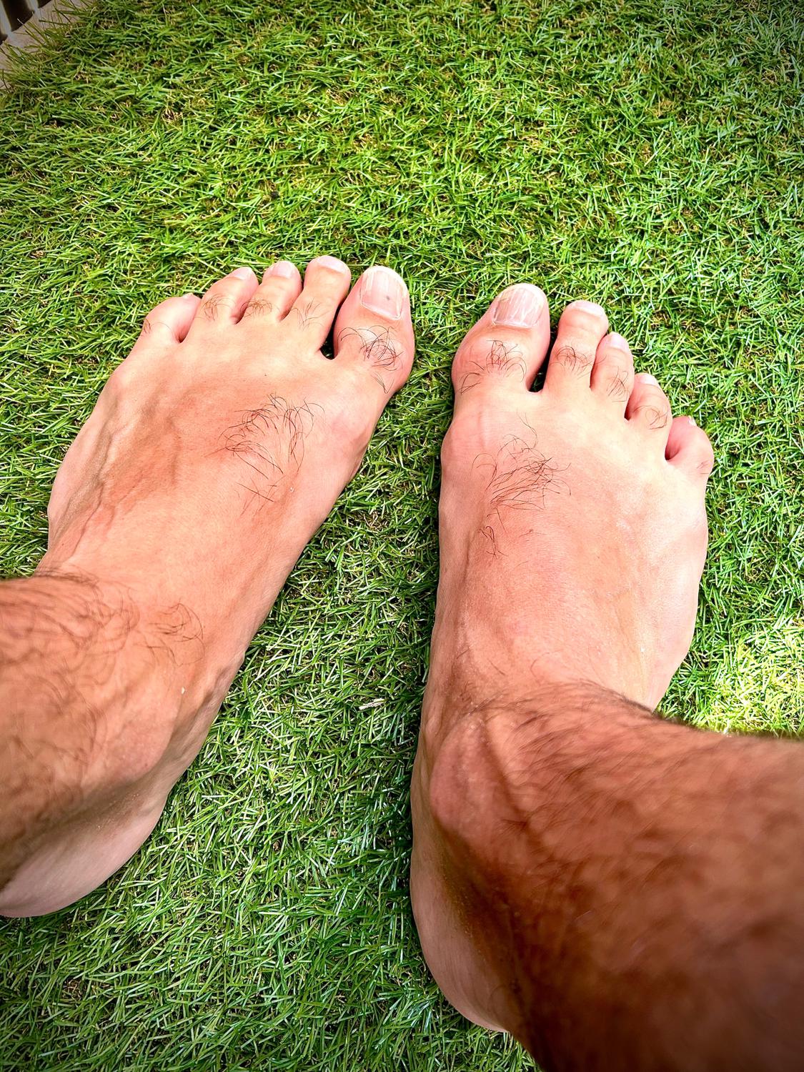 Fanfanfeet's media