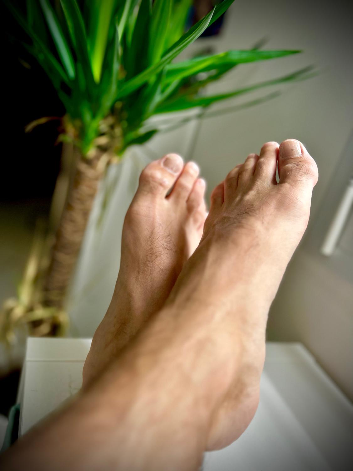Fanfanfeet's media