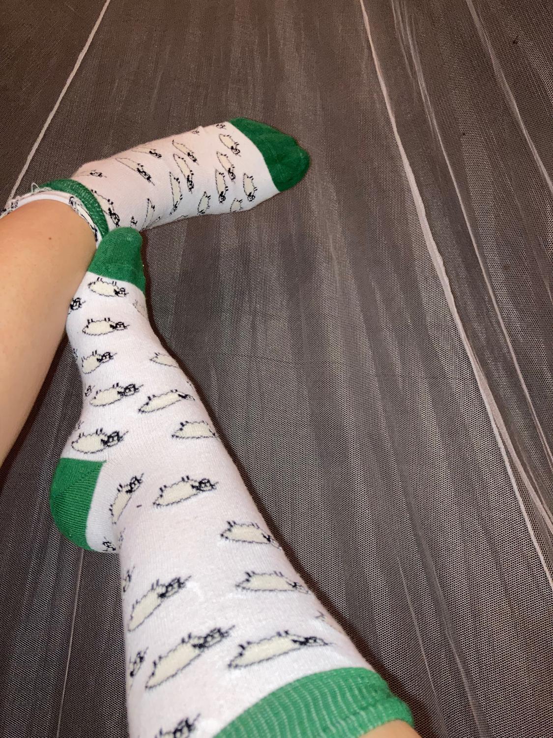 Fap_on_my_feet's media