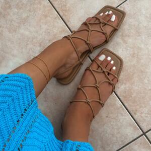Feet41's media