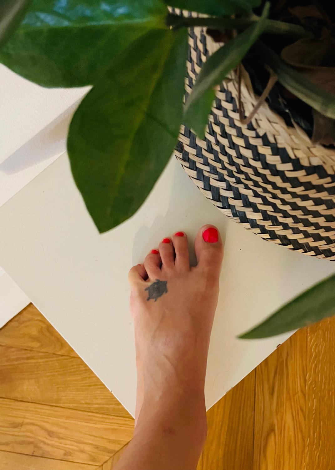 Feetaholic's media