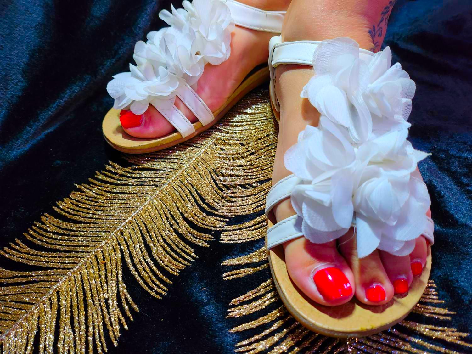 Feetbutterfly31's media