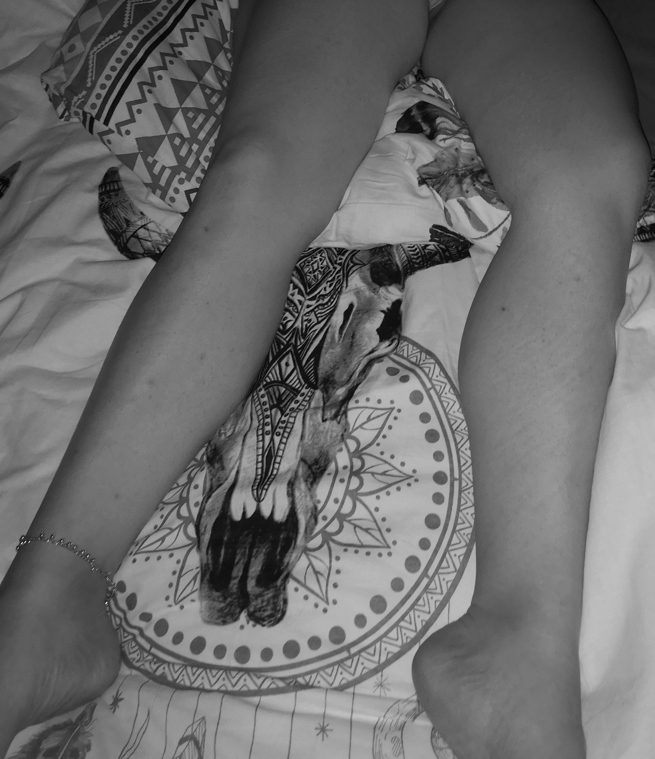 Feetlegs03's media