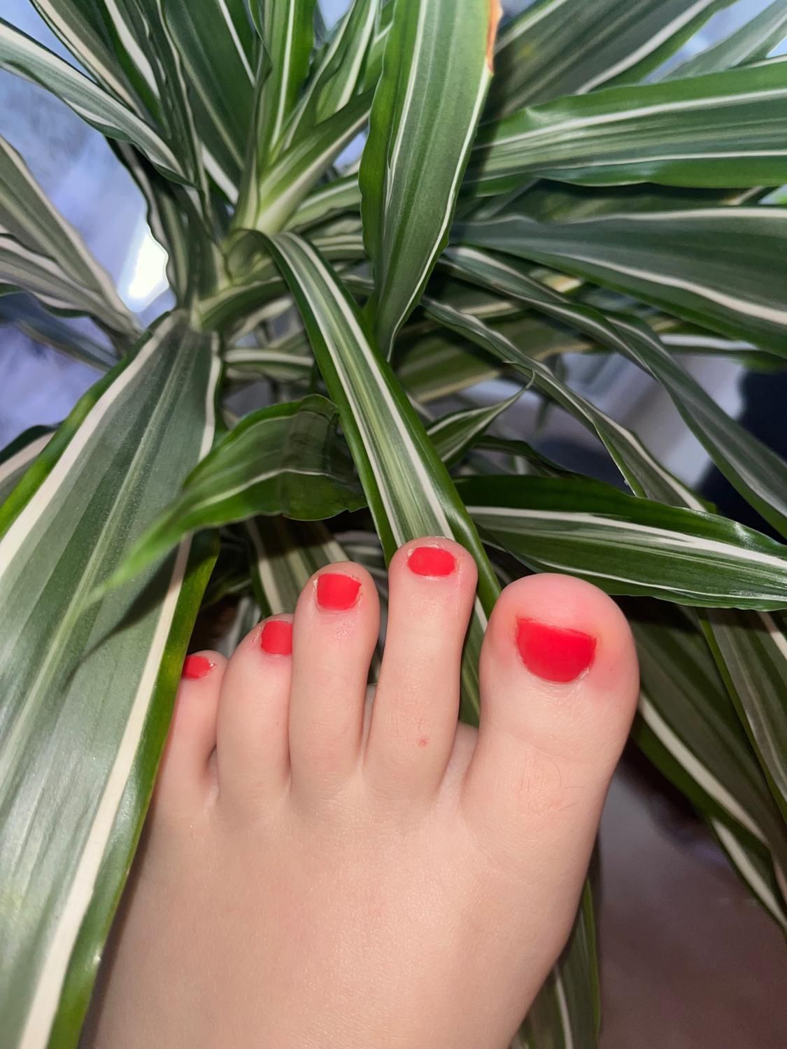 Feetlove27's media
