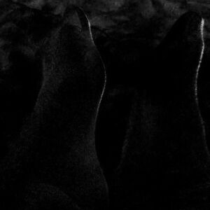 Feetslovers22's media