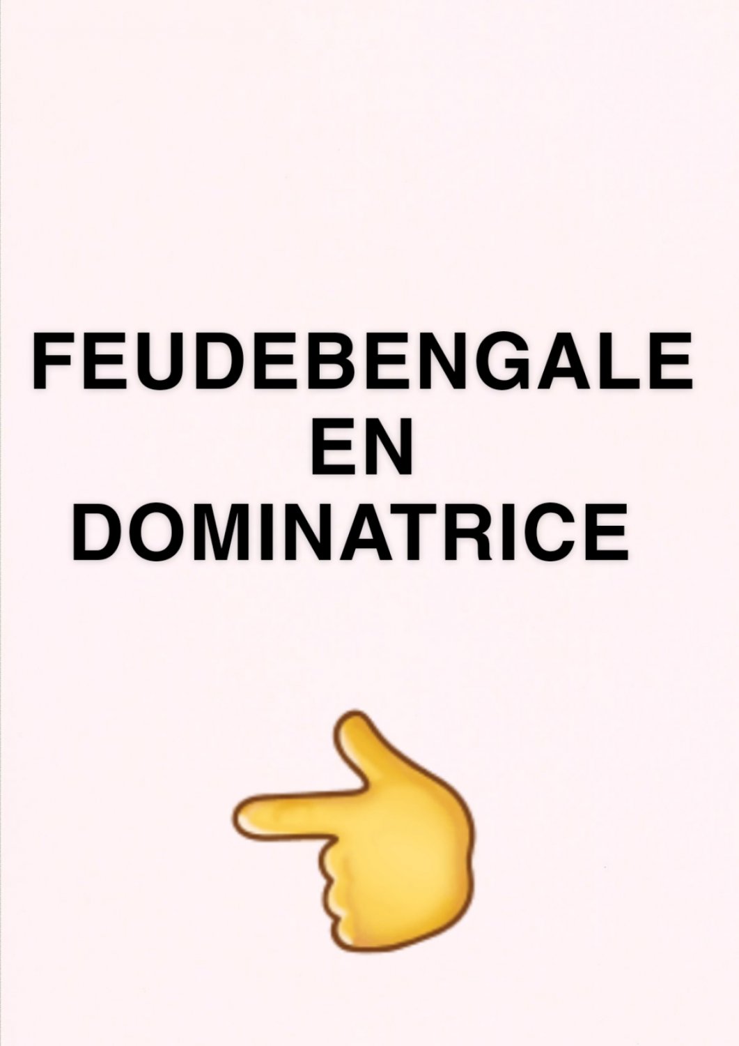 Feudebengale's media