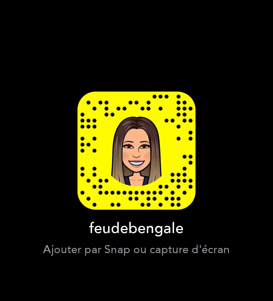 Feudebengale's media