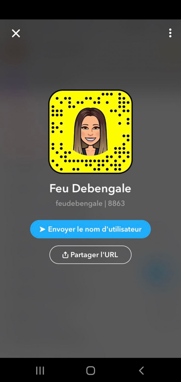 Feudebengale's media