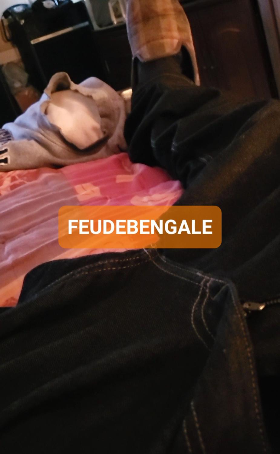 Feudebengale's media