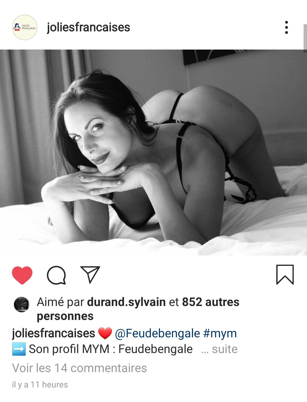 Feudebengale's media