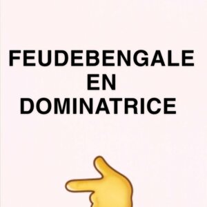 Feudebengale's media