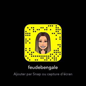 Feudebengale's media