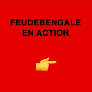 Feudebengale's media