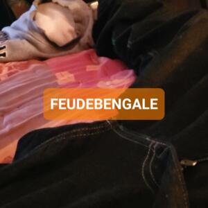 Feudebengale's media