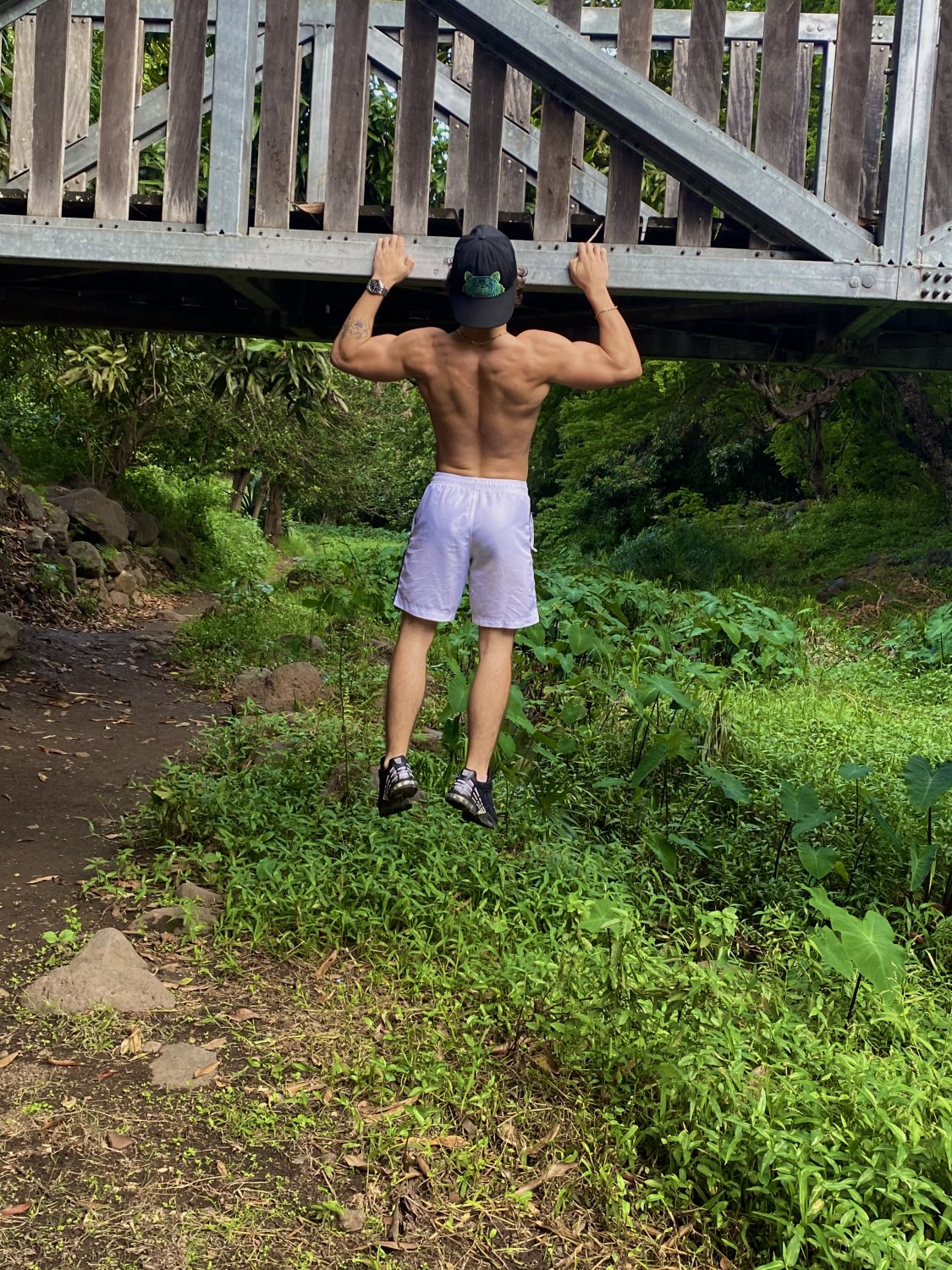 Fit_j's media