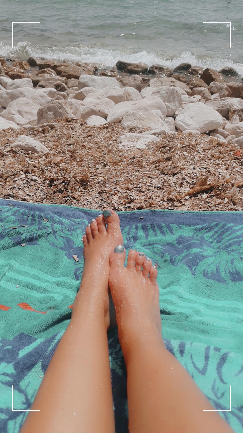 Fleuredepieds's media
