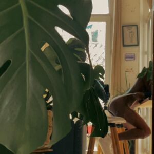 Flowadesfleurs's media